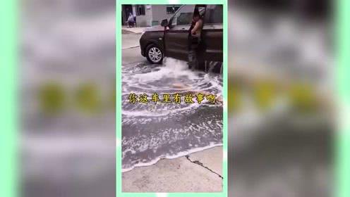 娱乐吃瓜群众歌曲,揭秘娱乐圈背后的“瓜”事