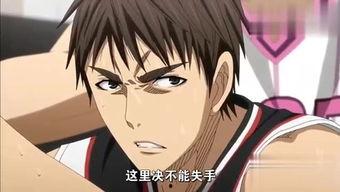 娱乐吃瓜黑子帐号,吃瓜黑子账号背后的真相与内幕