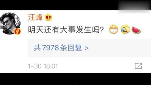 娱乐吃瓜视频最新网站,热门八卦一网打尽！