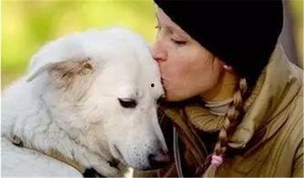 走近科学小狗长大娱乐吃瓜酱,揭秘小狗长大娱乐吃瓜酱背后的秘密