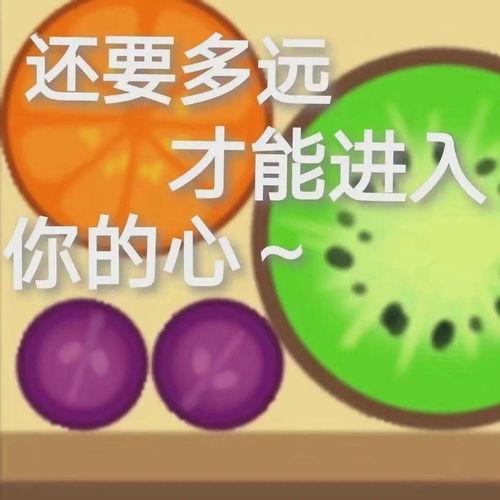 吃瓜娱乐1.2,揭秘娱乐圈最新热点，带你畅游八卦海洋