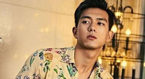 娱乐圈男明星的吃瓜,娱乐圈男明星的“瓜田”奇遇记