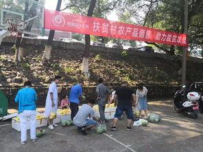 娱乐吃瓜酱贫困户,揭秘贫困户背后的真实故事