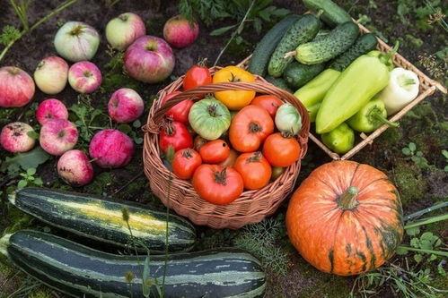 娱乐园吃瓜,揭秘明星幕后故事