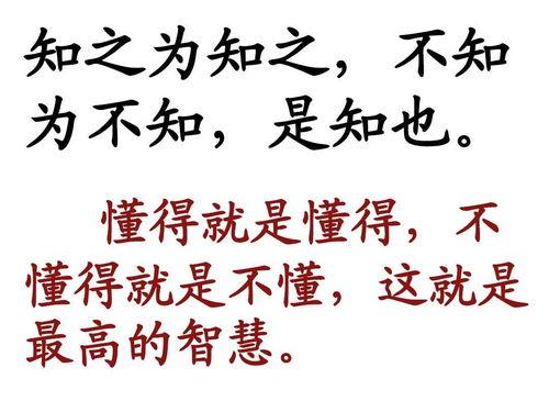 娱乐吃瓜酱名言名句大全,名言名句中的趣味人生