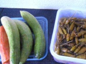 泡椒娱乐瓜地吃瓜,揭秘娱乐圈幕后风云