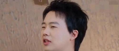 娱乐八卦爆料吃瓜白鹿,揭秘明星背后的“吃瓜”故事