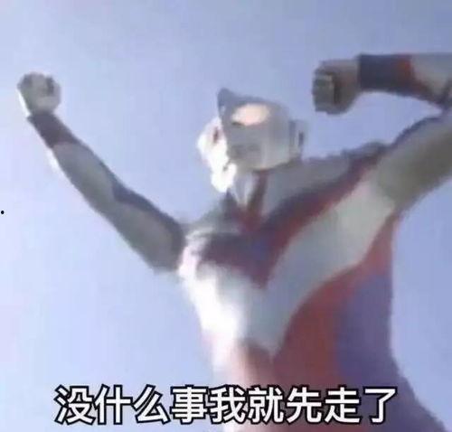 娱乐吃瓜小可爱是谁