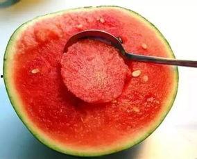 娱乐吃瓜酱美玉,揭秘美玉背后的故事与魅力