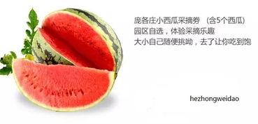 娱乐吃瓜固定模版如何做,揭秘明星幕后故事，带你领略明星们的真实生活