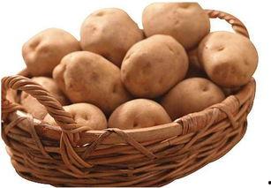 娱乐吃瓜小金土豆,揭秘吃瓜群众背后的土豆人生