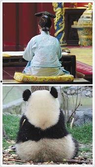 吃瓜群众说娱乐,揭秘吃瓜群众的八卦盛宴