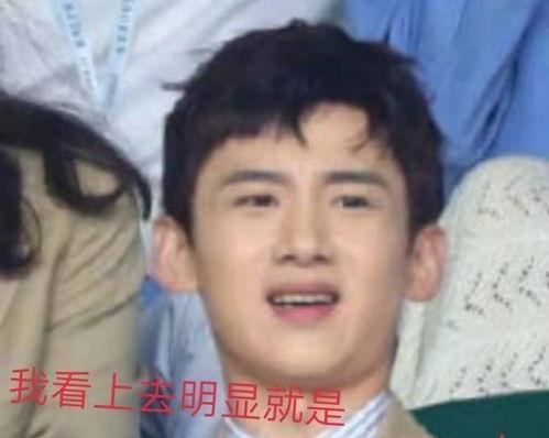 娱乐吃瓜白敬亭,娱乐吃瓜界的“瓜王”