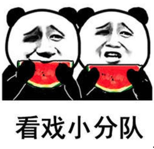 娱乐圈吃瓜表情图卡通