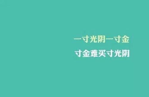娱乐吃瓜酱励志语录大全,娱乐吃瓜酱语录大全精选