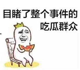 沙雕动画吃瓜系统娱乐圈,沙雕动画吃瓜系统带你笑看风云变幻